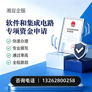 重庆软件和集成电路专项资金申报服务
