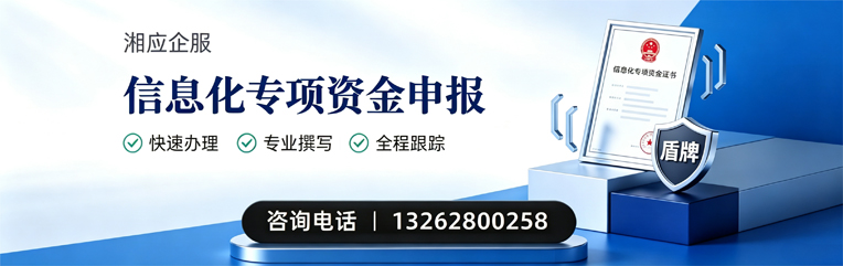 重庆信息化专项资金申报服务