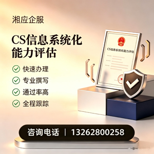 重庆CS信息系统化能力评估申报服务