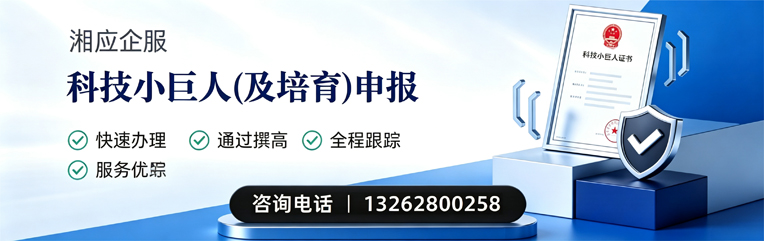 重庆科技小巨人及培育企业申报服务