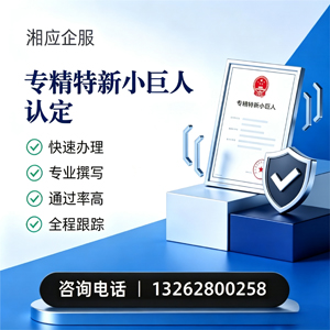 重庆专精特新小巨人申报服务