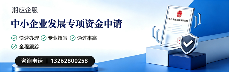 重庆中小企业发展专项资金申报服务