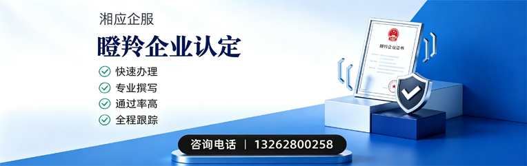 重庆瞪羚企业认定申报服务