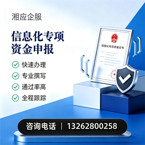 重庆信息化专项资金申报服务