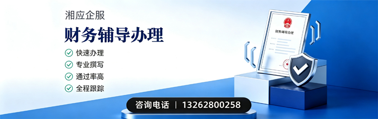 重庆财务辅导申请服务