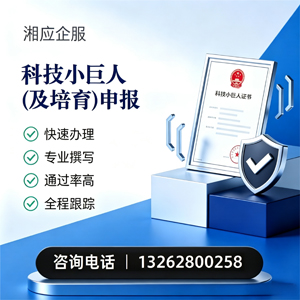 重庆科技小巨人及培育企业申报服务