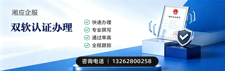 重庆双软认证申报服务