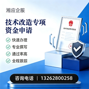 重庆技术改造专项资金申报服务