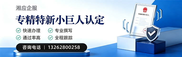 重庆专精特新小巨人申报服务